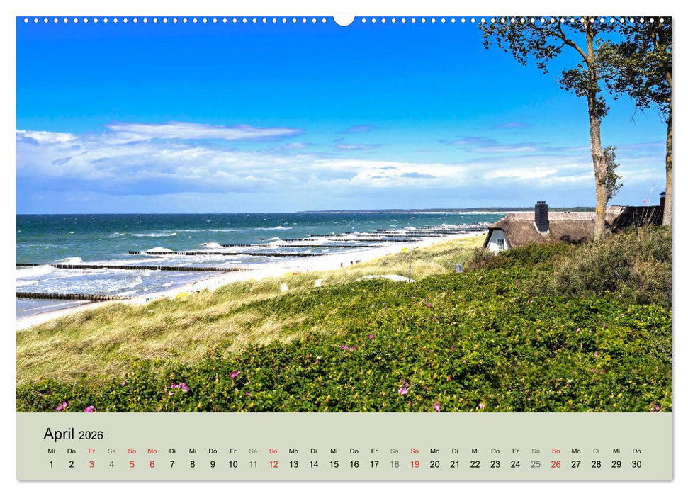 STRANDLUST: Fischland-Darß-Zingst (CALVENDO Premium Wandkalender 2026)