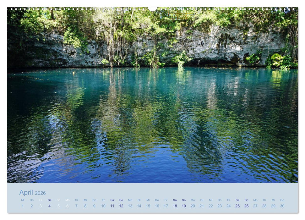 Tropentraum - Impressionen aus der Dominikanischen Republik (CALVENDO Premium Wandkalender 2026)
