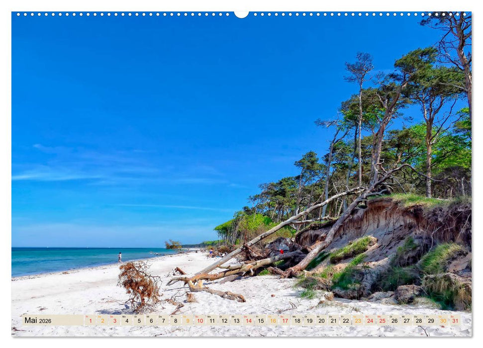 Deutschland - Nationalparks (CALVENDO Premium Wandkalender 2026)