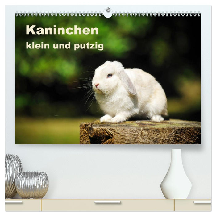 Kaninchen klein und putzig (CALVENDO Premium Wandkalender 2026)