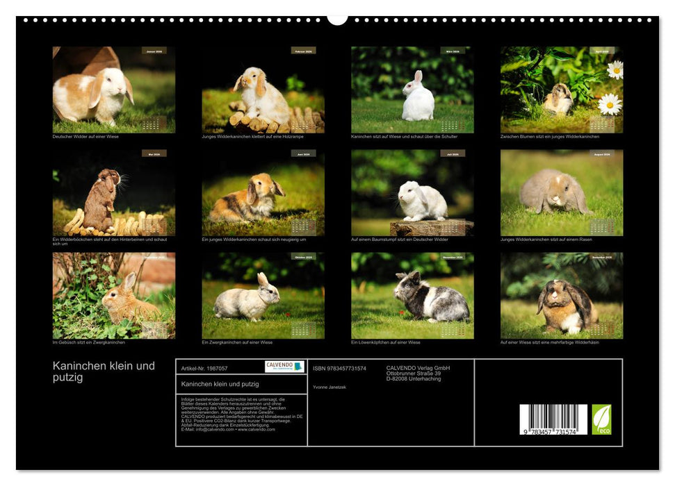 Kaninchen klein und putzig (CALVENDO Premium Wandkalender 2026)