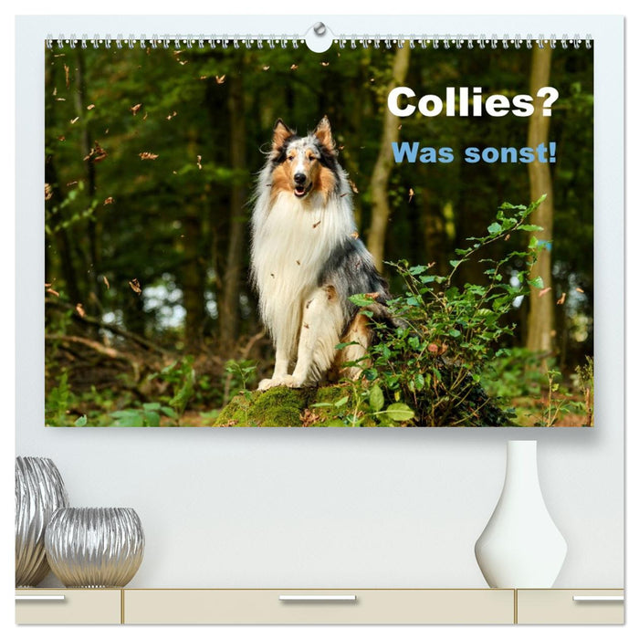 Collies? Was sonst! (CALVENDO Premium Wandkalender 2026)