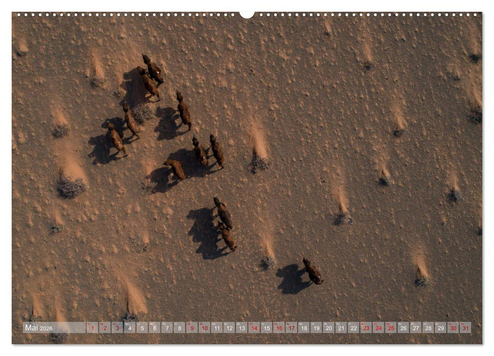 Mongolei - imposantes Land (CALVENDO Premium Wandkalender 2026)