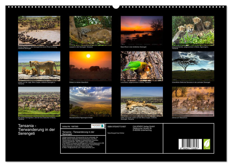 Tansania - Tierwanderung in der Serengeti (CALVENDO Premium Wandkalender 2026)