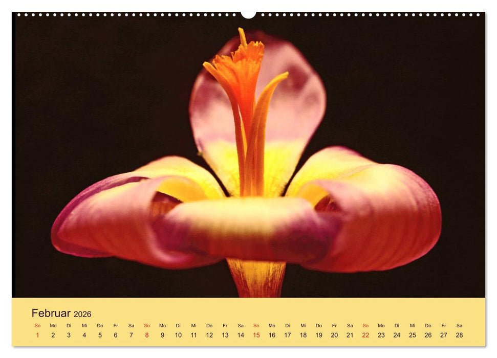Fantastische Reise in die Welt der Blumen (CALVENDO Wandkalender 2026)