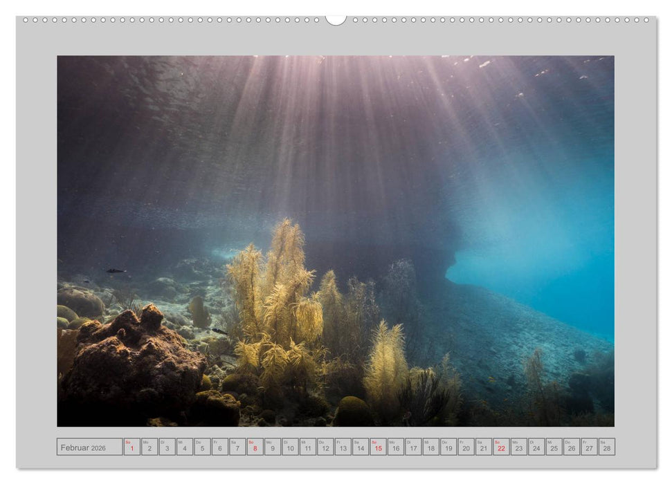 Karibische Meerblicke (CALVENDO Premium Wandkalender 2026)