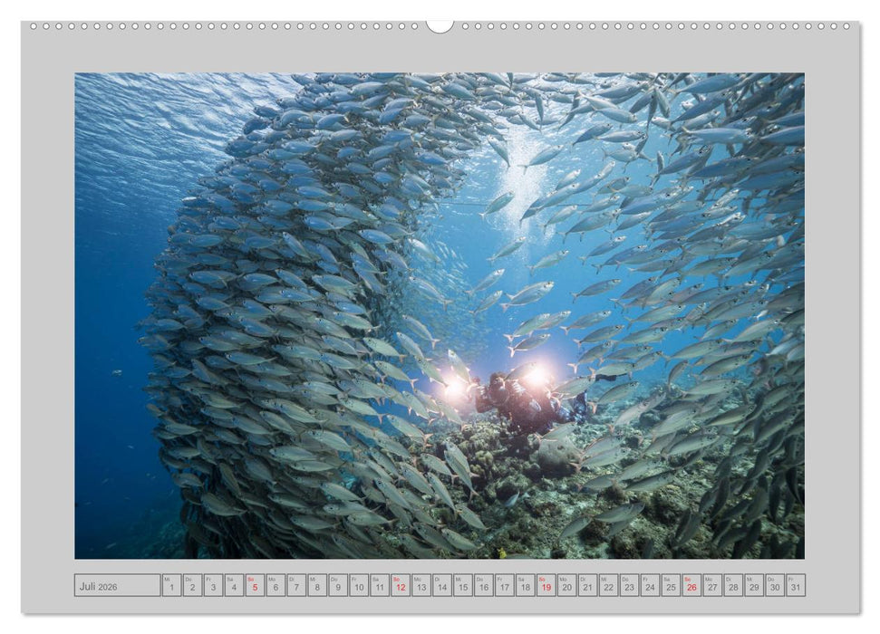 Karibische Meerblicke (CALVENDO Premium Wandkalender 2026)