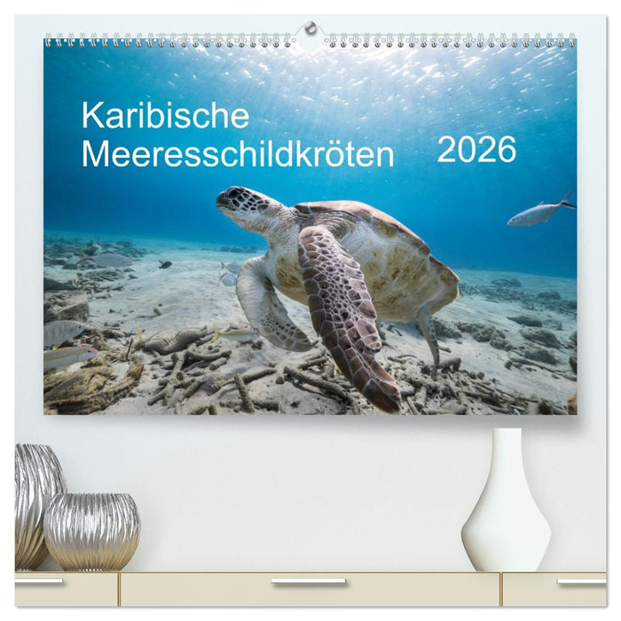 Karibische Meeresschildkröten (CALVENDO Premium Wandkalender 2026)