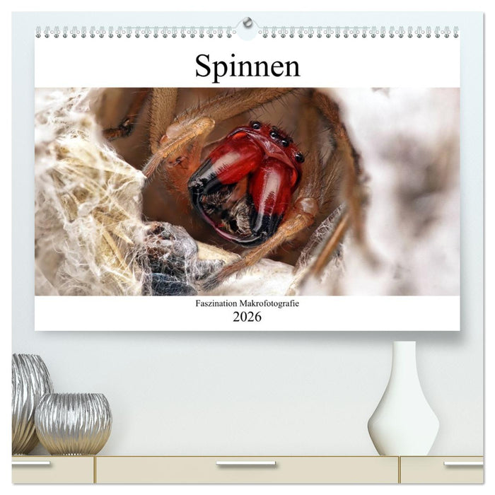 Faszination Makrofotografie: Spinnen (CALVENDO Premium Wandkalender 2026)