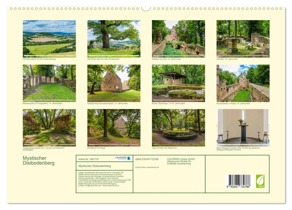Mystischer Disibodenberg (CALVENDO Premium Wandkalender 2026)