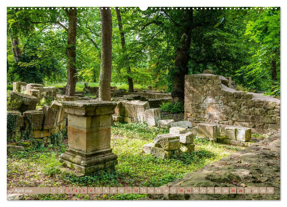 Mystischer Disibodenberg (CALVENDO Premium Wandkalender 2026)