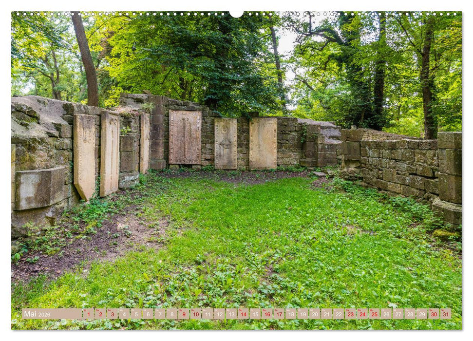 Mystischer Disibodenberg (CALVENDO Premium Wandkalender 2026)