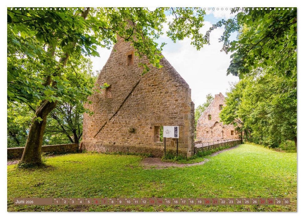 Mystischer Disibodenberg (CALVENDO Premium Wandkalender 2026)