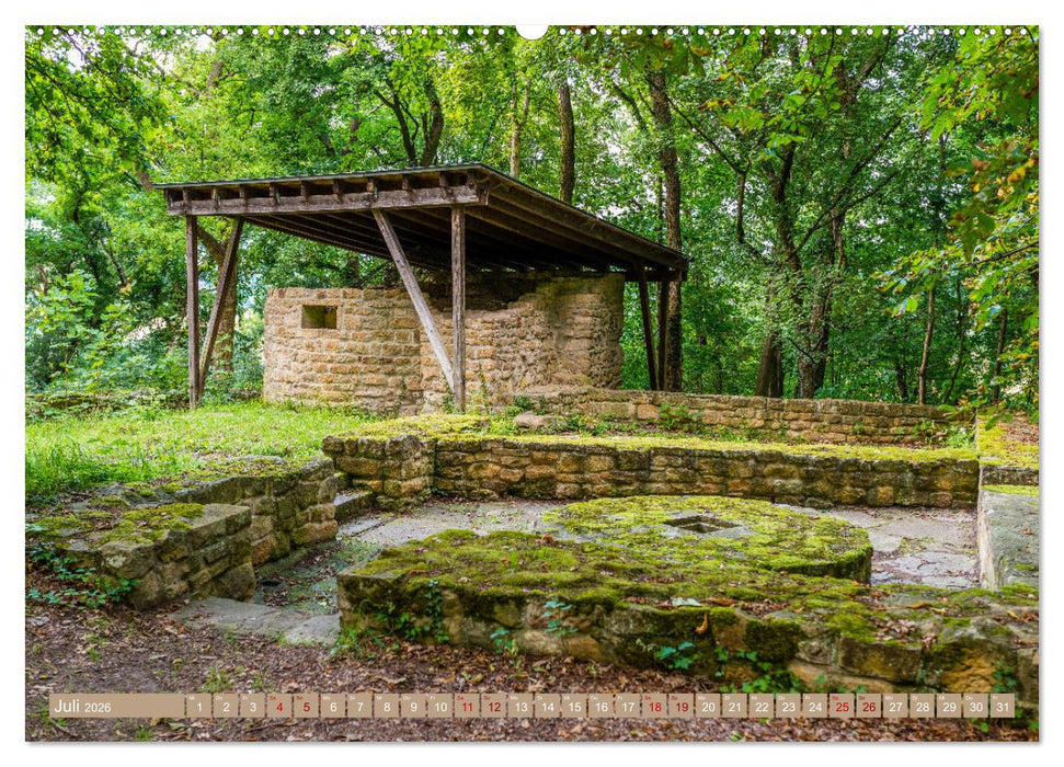 Mystischer Disibodenberg (CALVENDO Premium Wandkalender 2026)