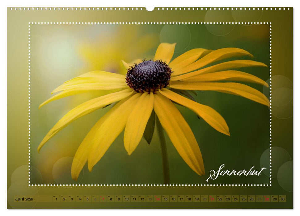 Blütenbouquet (CALVENDO Wandkalender 2026)