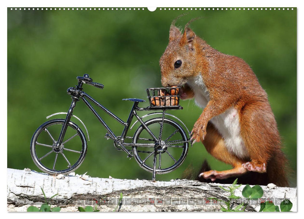Eichhörnchen Luna und ihre Kinder (CALVENDO Premium Wandkalender 2026)