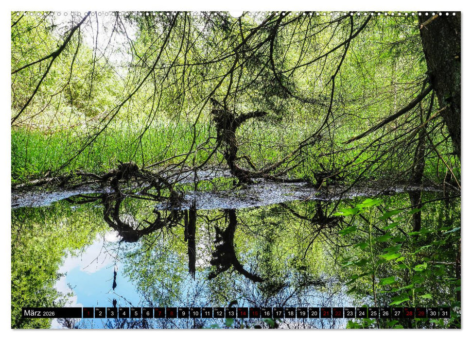 Ausflugsziele rund um Isny (CALVENDO Premium Wandkalender 2026)