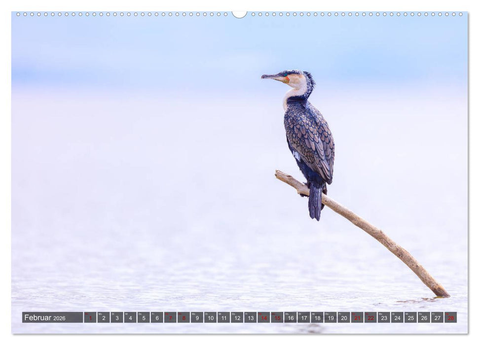 Auf Safari in Kenia 2026 (CALVENDO Premium Wandkalender 2026)