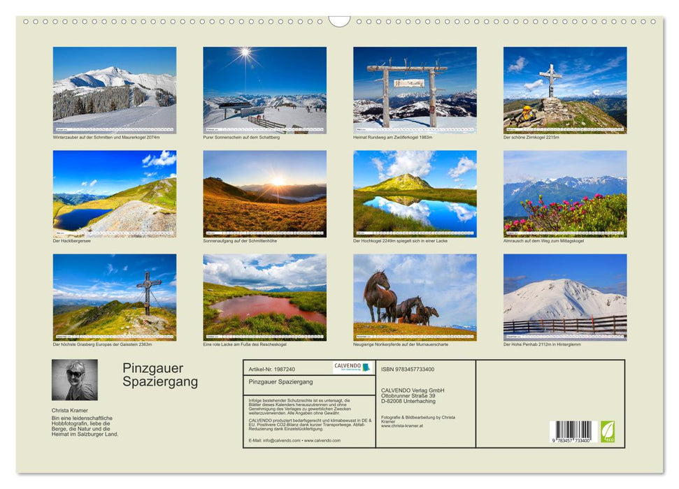 Pinzgauer Spaziergang (CALVENDO Wandkalender 2026)