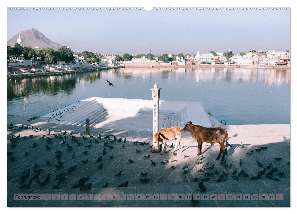 Eine Reise durch Rajasthan (CALVENDO Premium Wandkalender 2026)