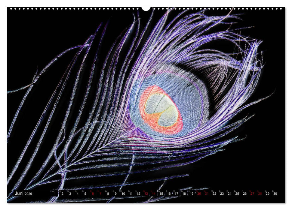 Federleichte Momente (CALVENDO Premium Wandkalender 2026)