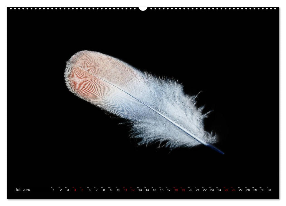 Federleichte Momente (CALVENDO Premium Wandkalender 2026)