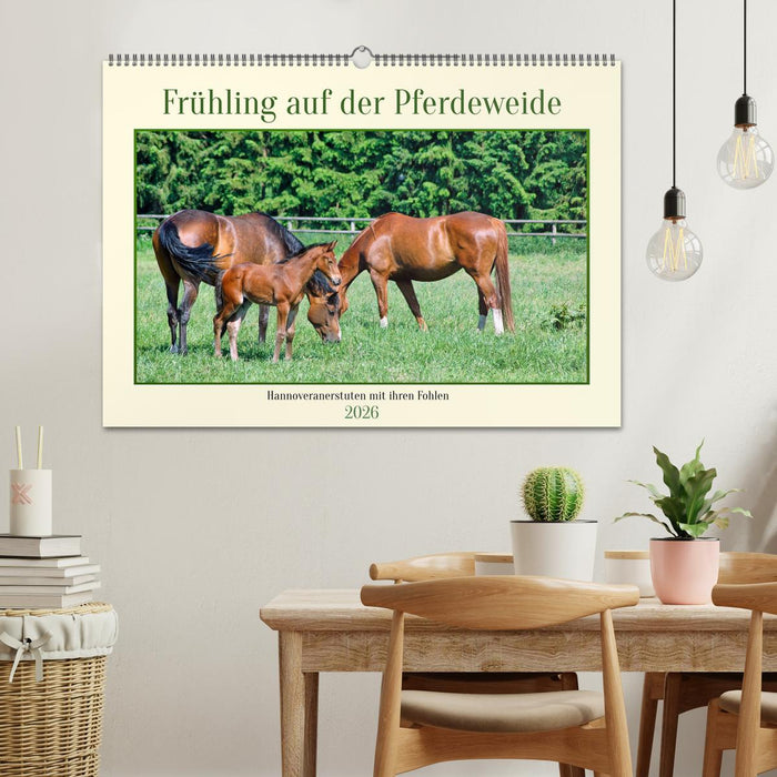 Frühling auf der Pferdeweide (CALVENDO Wandkalender 2026)