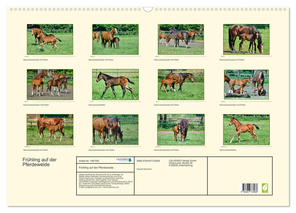Frühling auf der Pferdeweide (CALVENDO Wandkalender 2026)