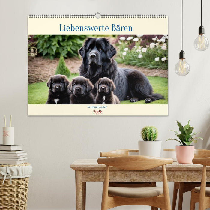 Neufundländer - Liebenswerte Bären (CALVENDO Wandkalender 2026)