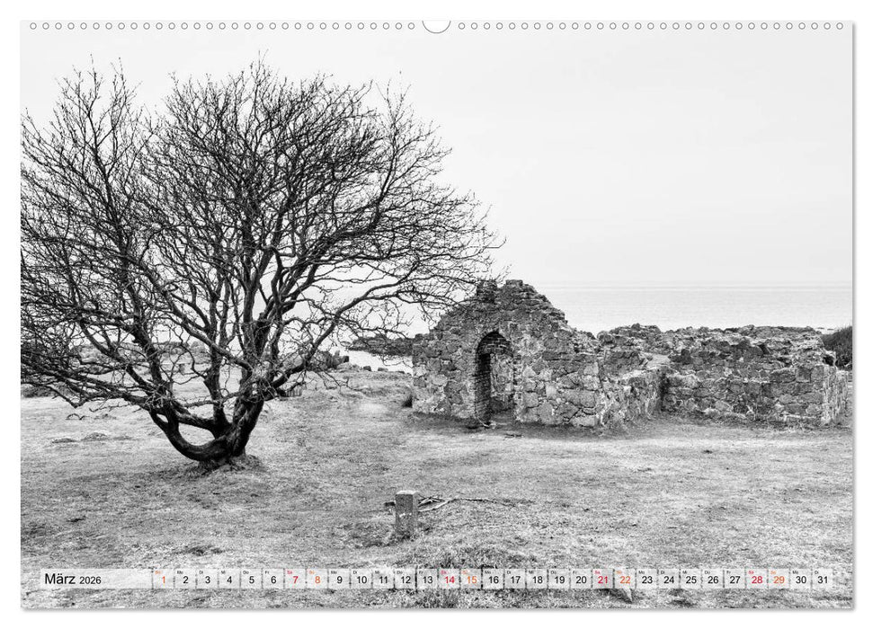 Bornholm black & white (CALVENDO Premium Wandkalender 2026)