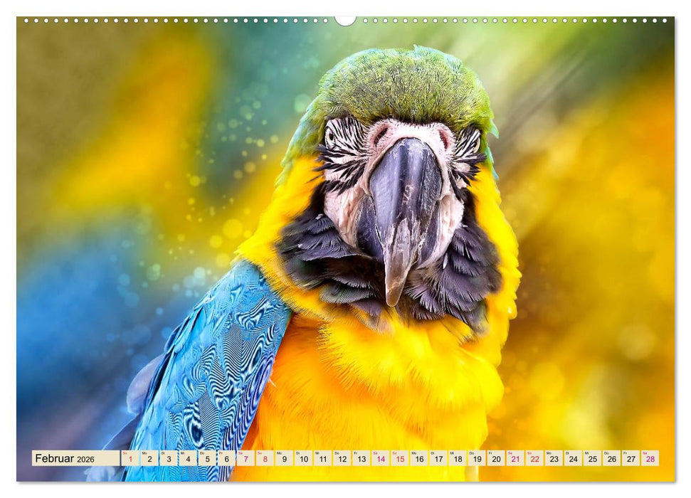 Mein bunter Papagei (CALVENDO Premium Wandkalender 2026)