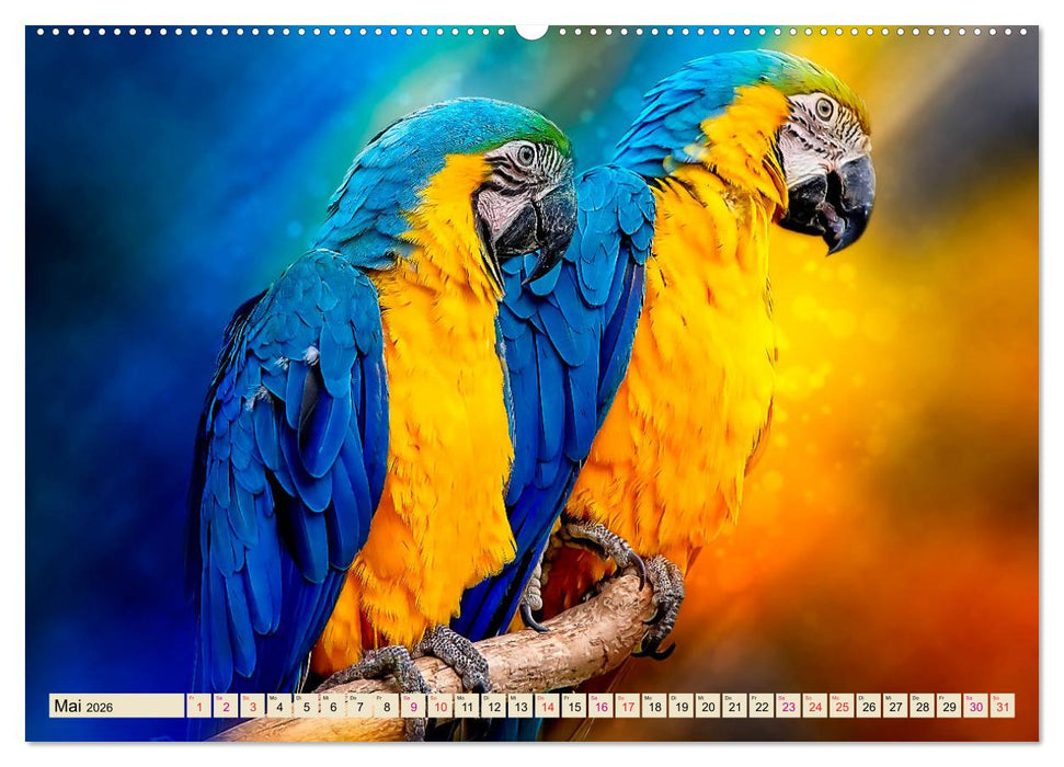 Mein bunter Papagei (CALVENDO Premium Wandkalender 2026)