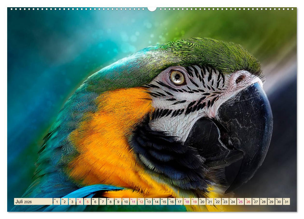 Mein bunter Papagei (CALVENDO Premium Wandkalender 2026)