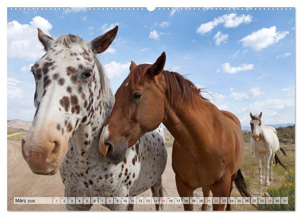 Wo der Westen wild war (CALVENDO Premium Wandkalender 2026)