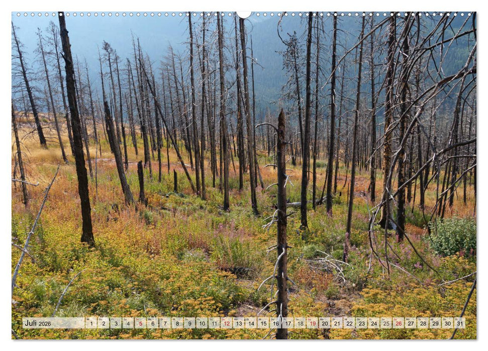 Wo der Westen wild war (CALVENDO Premium Wandkalender 2026)