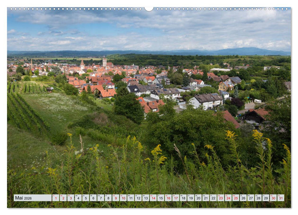 Weinregion Kaiserstuhl (CALVENDO Premium Wandkalender 2026)