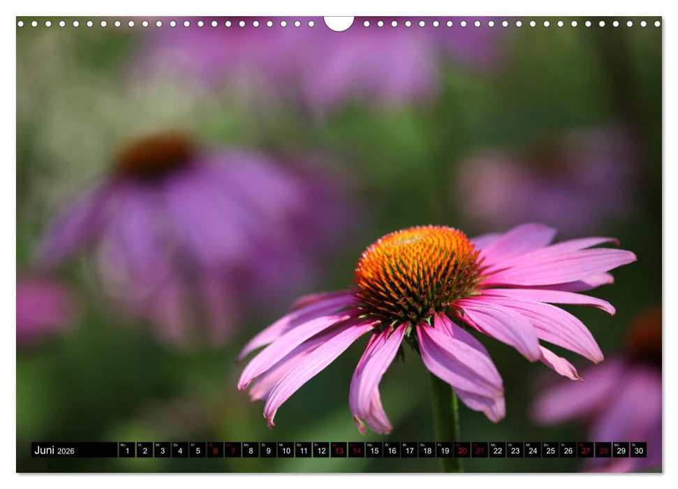 Blühwelten (CALVENDO Wandkalender 2026)