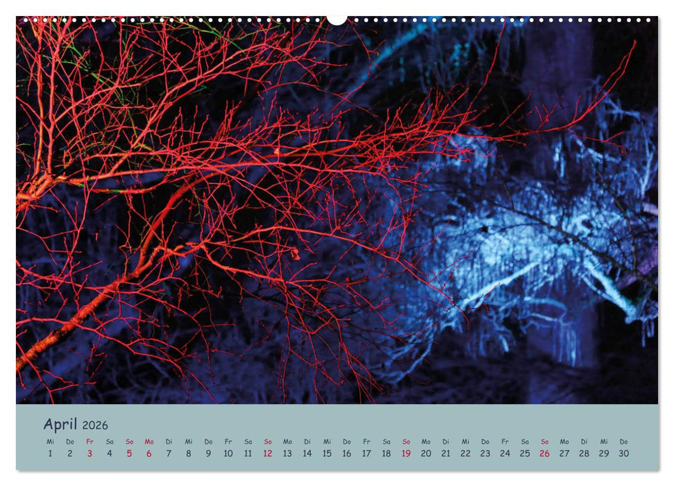 Leuchtfarben (CALVENDO Wandkalender 2026)