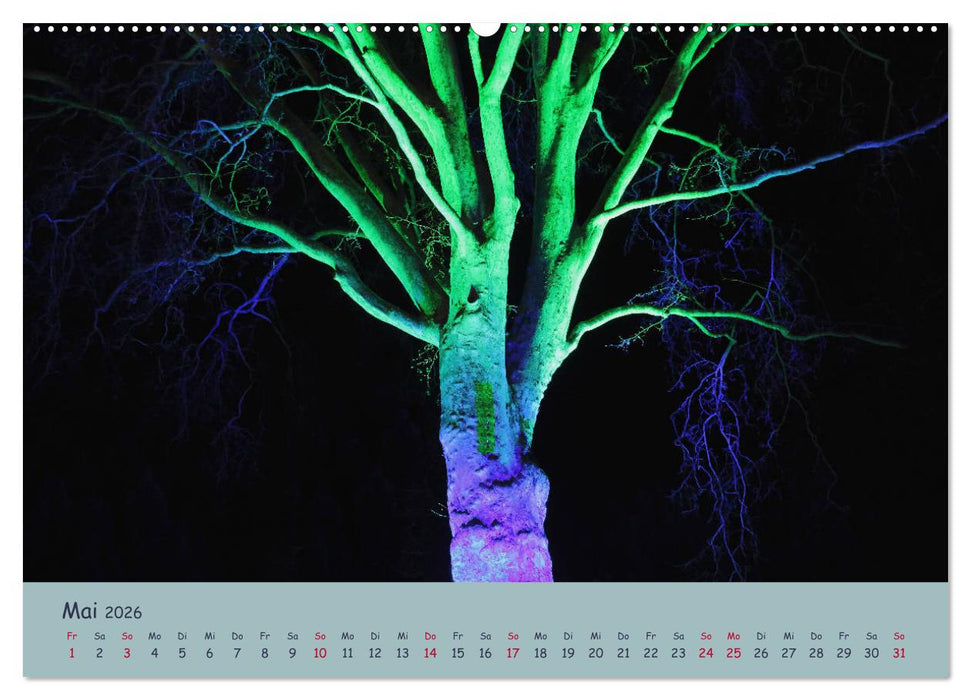 Leuchtfarben (CALVENDO Wandkalender 2026)