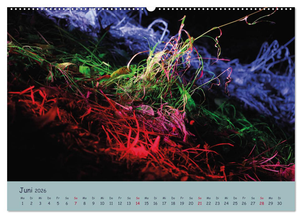 Leuchtfarben (CALVENDO Wandkalender 2026)