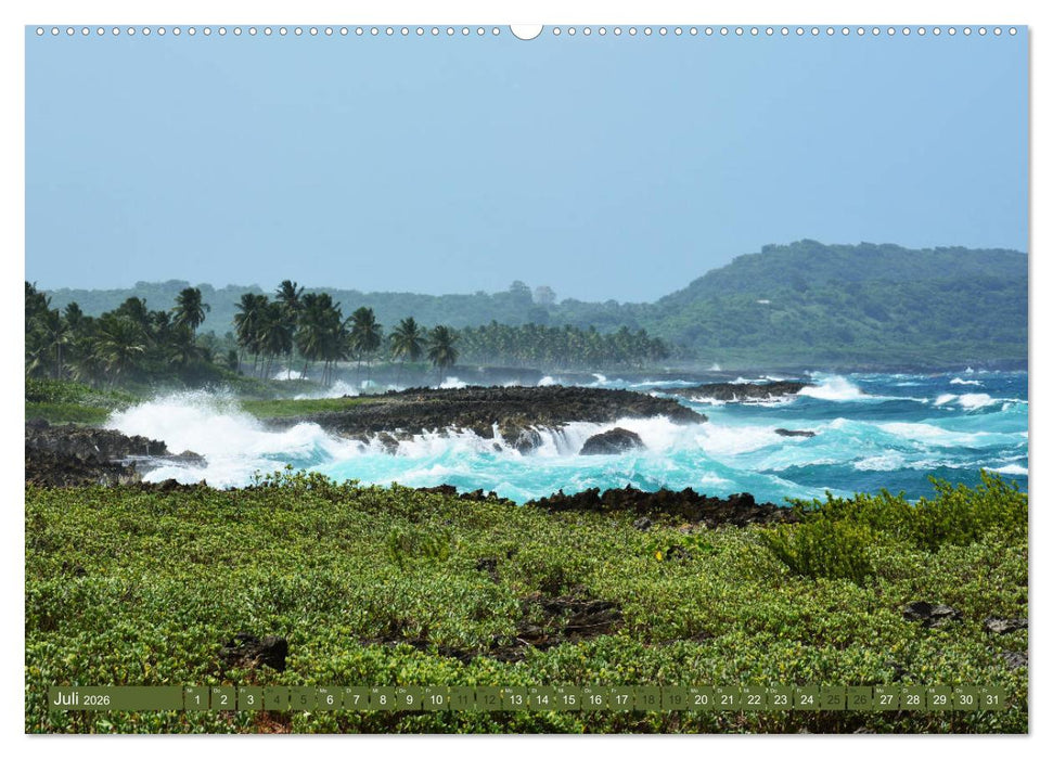 Samana - Palmen und Strände (CALVENDO Premium Wandkalender 2026)