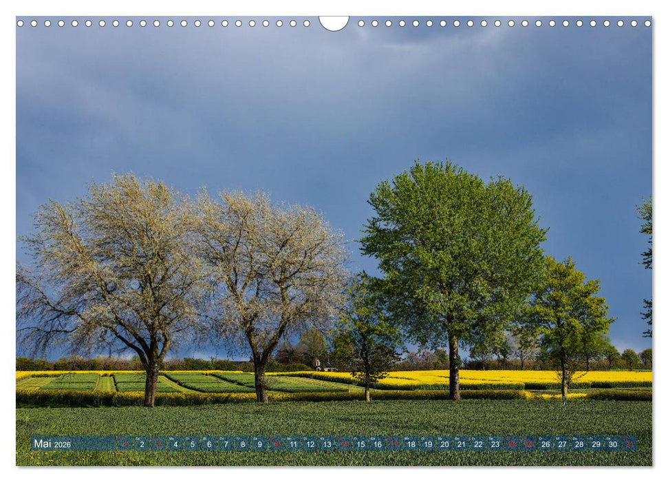 Kappeln und die Schlei (CALVENDO Wandkalender 2026)