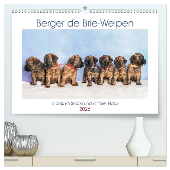 Berger de Brie - Welpen (CALVENDO Premium Wandkalender 2026)