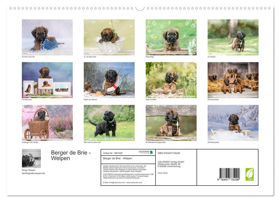 Berger de Brie - Welpen (CALVENDO Premium Wandkalender 2026)