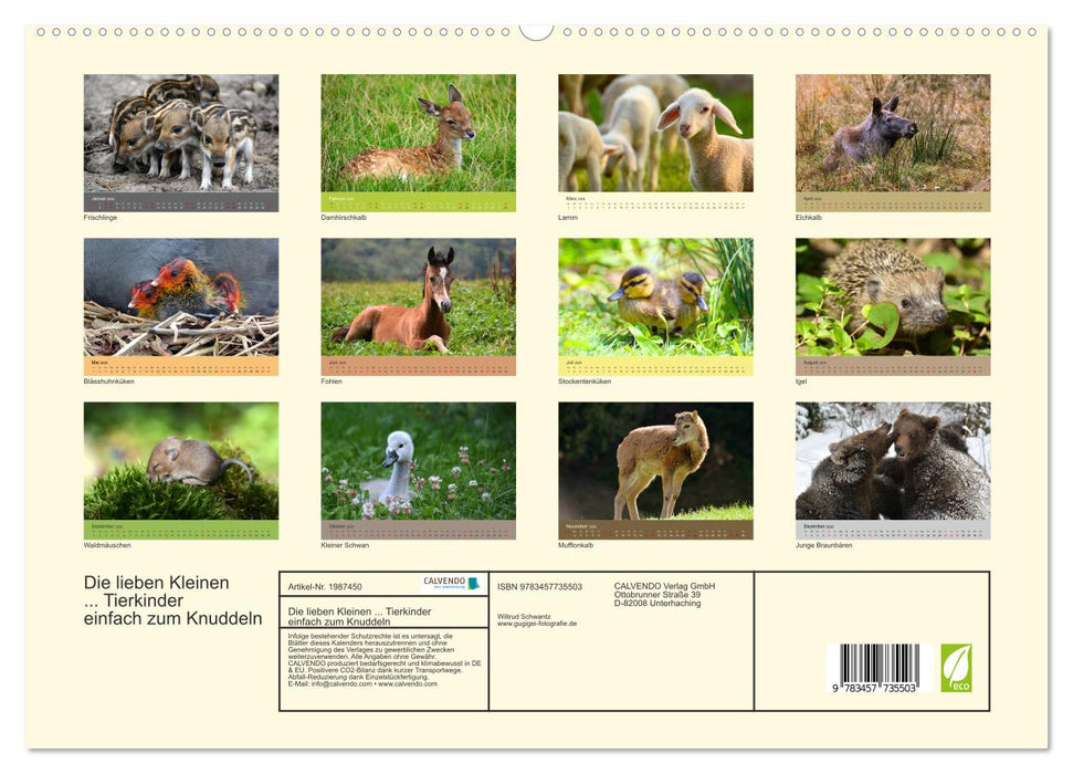 Die lieben Kleinen ... Tierkinder einfach zum Knuddeln (CALVENDO Premium Wandkalender 2026)