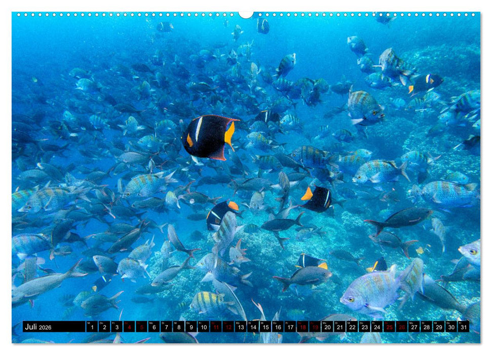 Traumwelt Ecuador (CALVENDO Premium Wandkalender 2026)