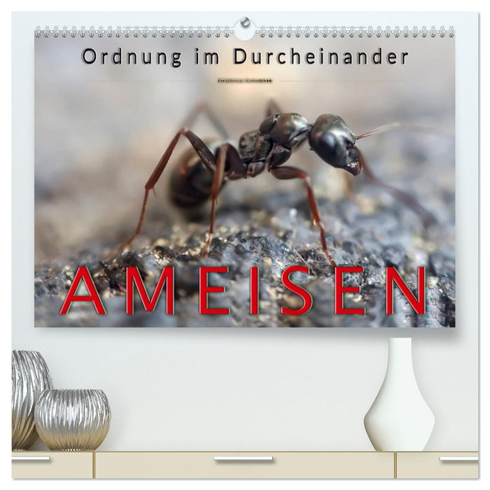 Ameisen - Ordnung im Durcheinander (CALVENDO Premium Wandkalender 2026)