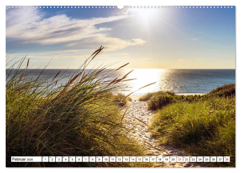 Traumstrände an Deutschlands Küsten (CALVENDO Premium Wandkalender 2026)