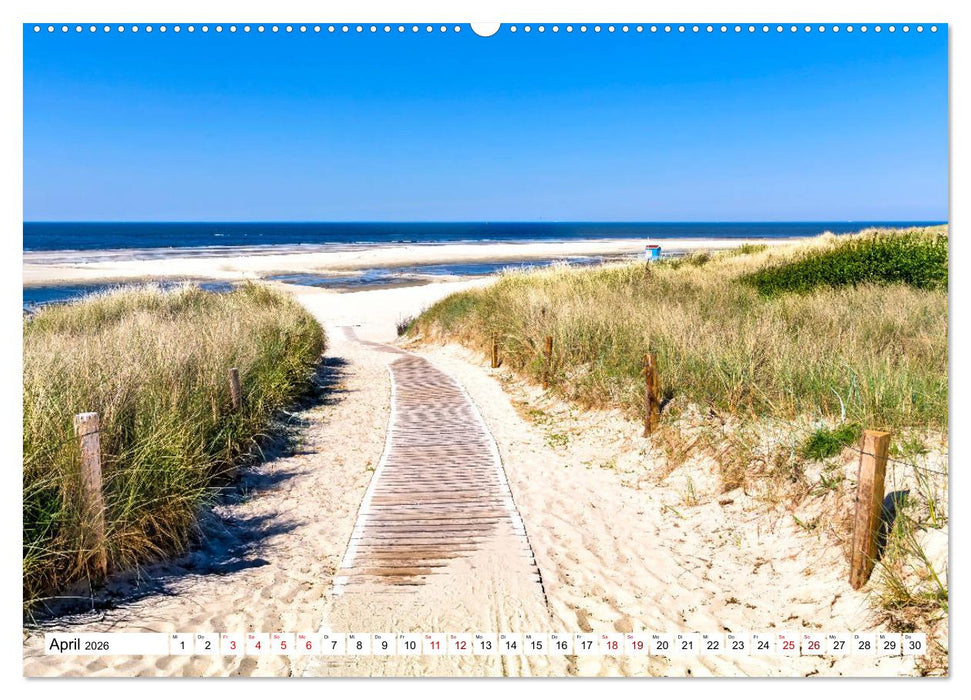 Traumstrände an Deutschlands Küsten (CALVENDO Premium Wandkalender 2026)