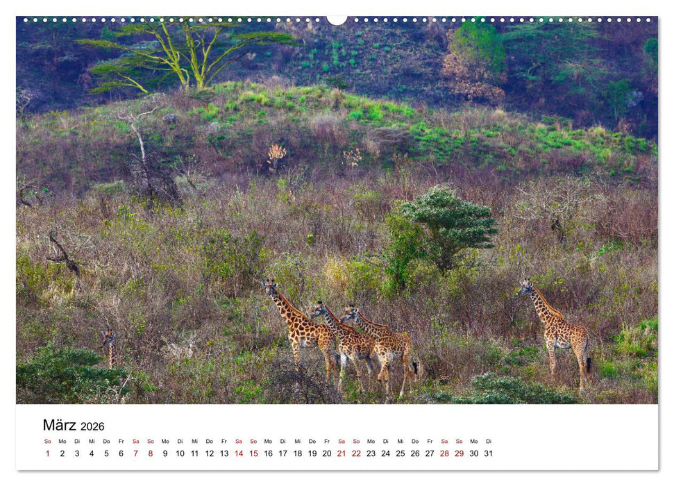 Blickpunkte Tansanias (CALVENDO Premium Wandkalender 2026)